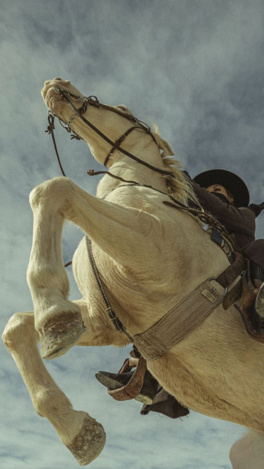 The Horse Year Collection