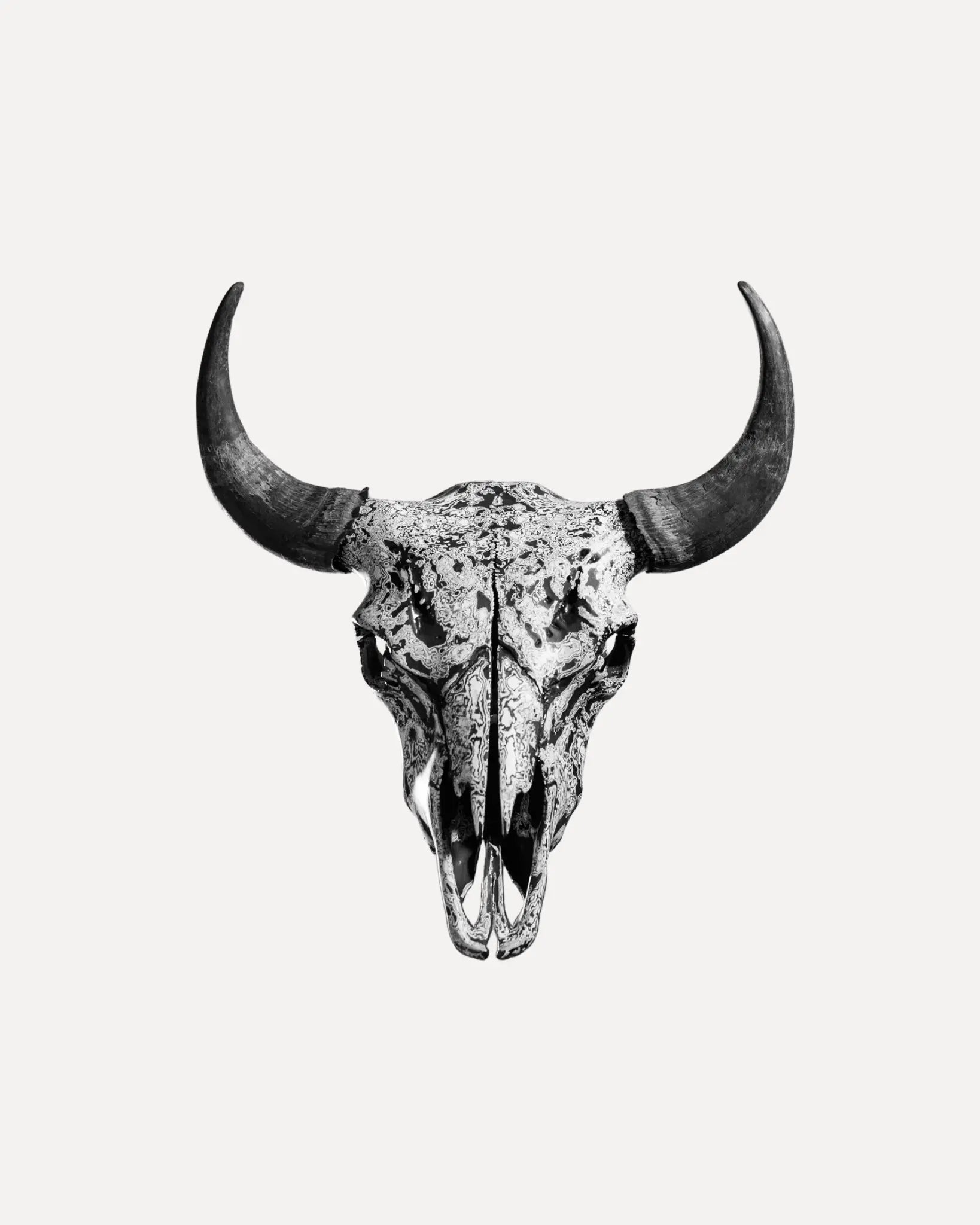 Black and White Bison Black and White Bison Curate Vail Valley Curate Vail Valley  Squash Blossom Vail