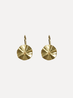Pair of gold earrings on a light beige background