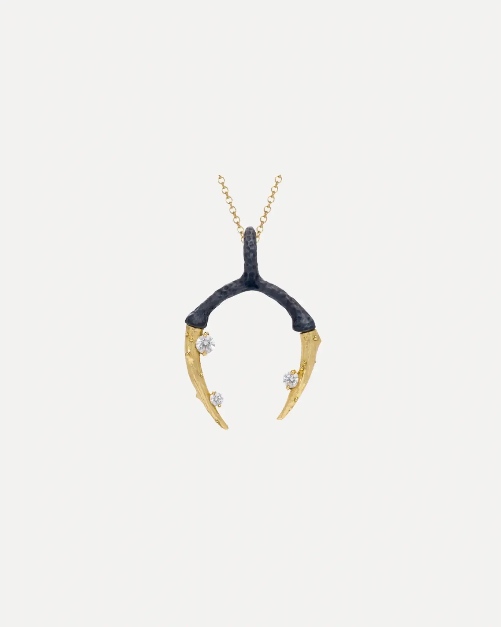 Radiation Talon Pendant and Chain Radiation Talon Pendant and Chain Sarah Graham Sarah Graham  Squash Blossom Vail