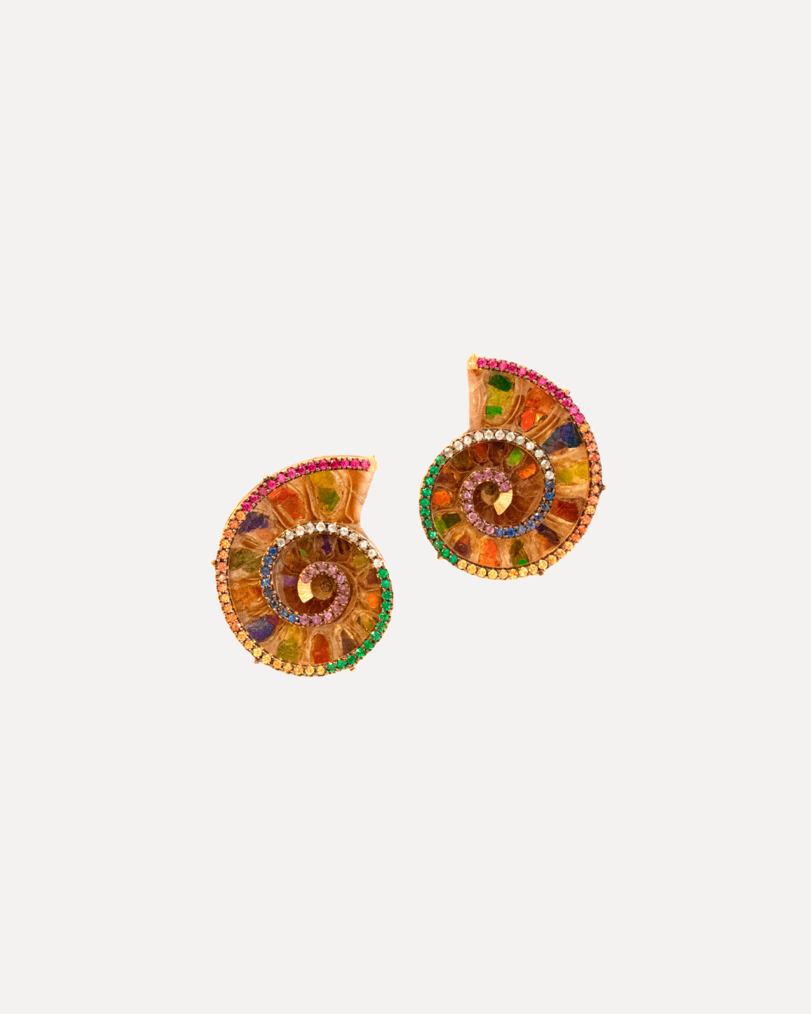 Shell Earrings