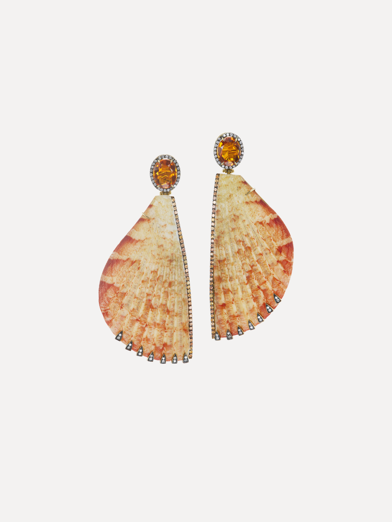 Shell Earrings